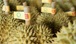 昔日百亿“水果大王”被逮捕后，“水果第一股”走到退市边缘