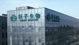 巨子生物銷量股價(jià)雙殺，陜西“女首富”要坐不住了