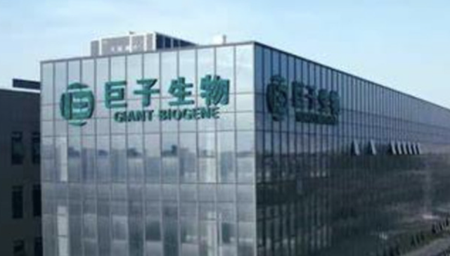 巨子生物销量股价双杀，陕西“女首富”要坐不住了