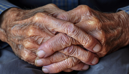 地方新闻精选 | 江苏省去年百岁老人达8811人 四川省教育厅打假7所院校网站