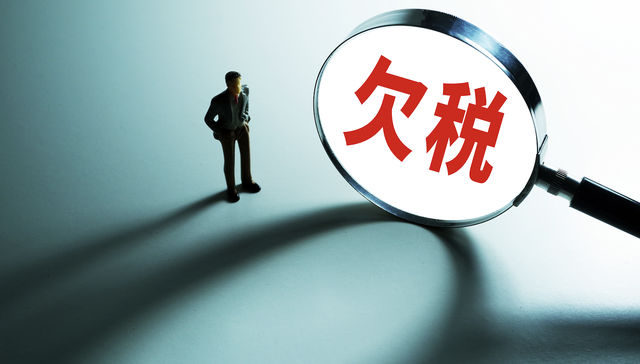 “柴怼怼”公司欠税8.5万被公告，此前夫妻二人被逮捕 