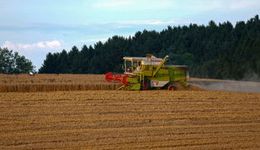 返乡创业潮正在进行时