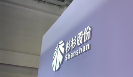 杉杉集团重整现“狸猫换太子”，“民营船王”695亿资本局遭盟友起诉