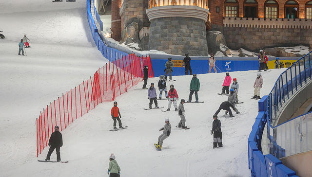 上海,政协,体育