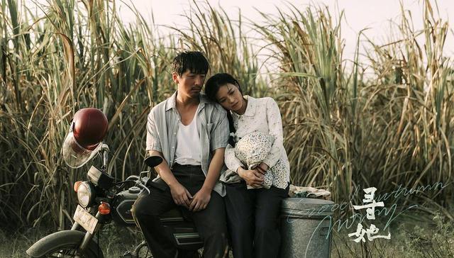 《寻她》《旁观者》撤档背后：文艺片退无可退