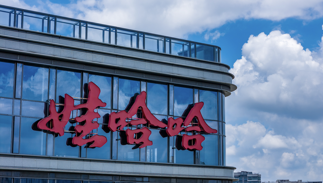 宏胜集团法定代表人祝丽丹离职，此前否认被带走调查