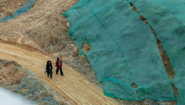 “昙花一现”是民营美术馆的宿命吗？