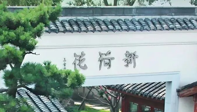 新荷花,中药,上市,