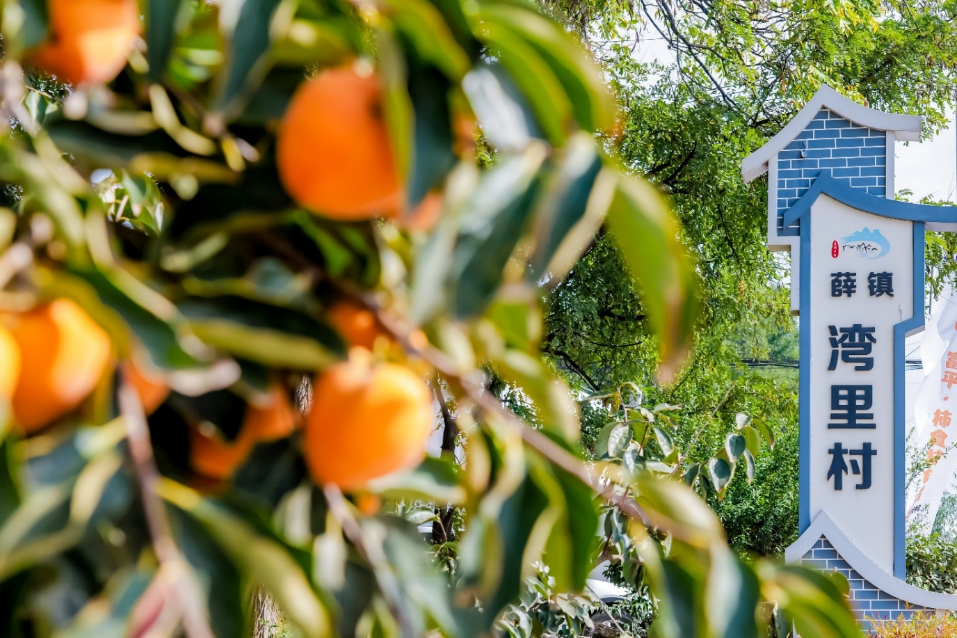 陕西富平县湾里村