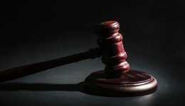 缅北白家犯罪集团案宣判：白所成等5人被判死刑，涉诈赌等资金290余亿