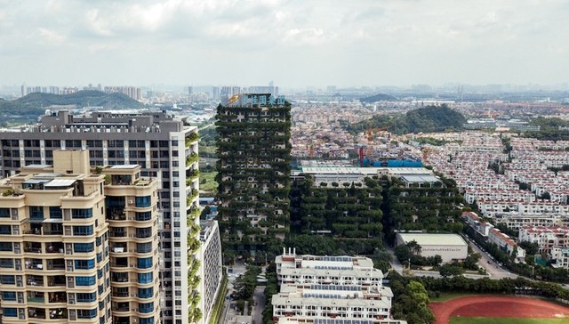 拉锯300天，碧桂园177亿美元债重组获高票通过