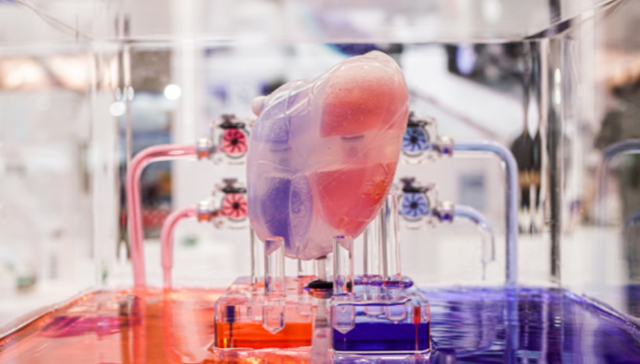 核心医疗,人工心脏,科创板,受理