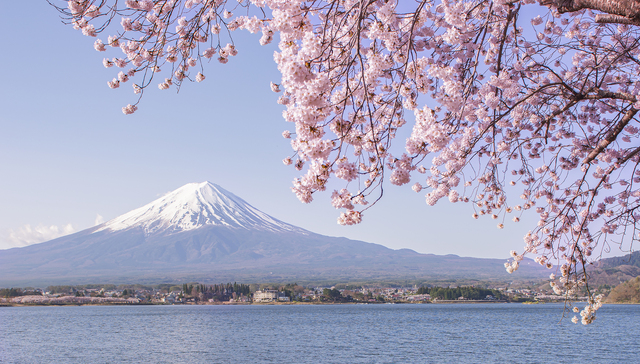 旅游业持续“高烧”，日本将上调外国游客签证费