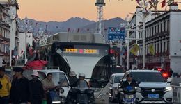 脱离“正轨”的旅居人，在寻找什么？