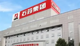 河北巨富，手下集体受罚