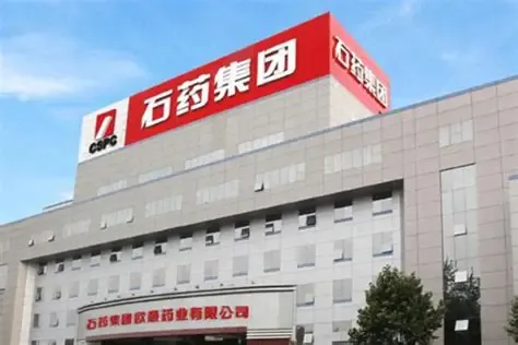 河北巨富，手下集体受罚