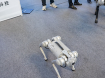 拿下1.2億元機(jī)器人訂單后，“周杰倫概念股”與宇樹科技成立合資公司