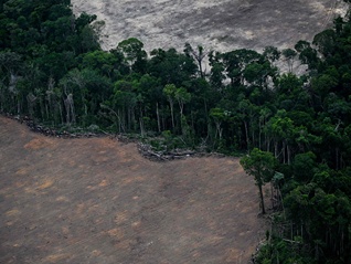 会场内外博弈此起彼伏，贝伦气候大会期待收获实质进展
