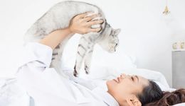 養(yǎng)寵三年，苦自己不能苦“孩子”