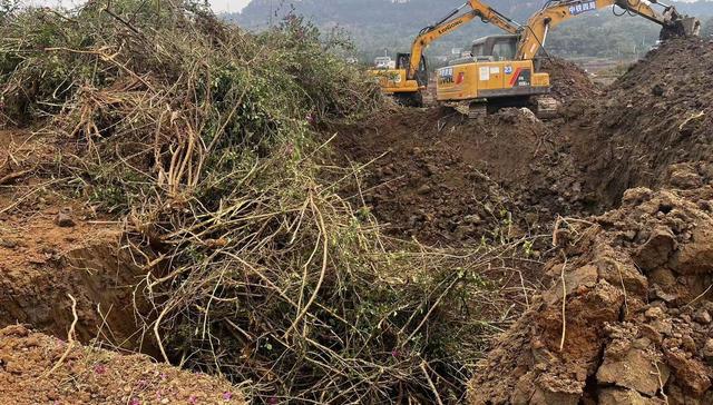 法治面｜为整治土地“非粮化”百亩苗圃被毁，四川高院裁定提审