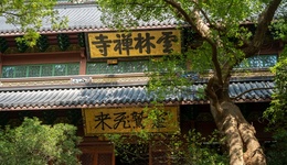 地方新聞精選 | 杭州宣布靈隱寺12月1日起免門票 廈門海關查獲807只“異寵”