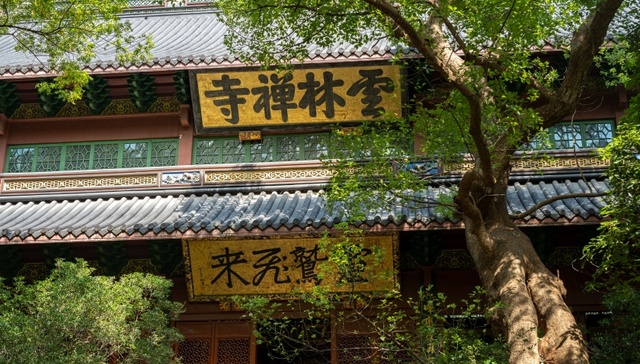 地方新闻精选 | 杭州宣布灵隐寺12月1日起免门票 厦门海关查获807只“异宠”