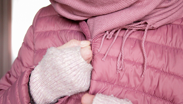 鸭绒价格涨至58万元/吨，国产羽绒服迈入“千元时代”