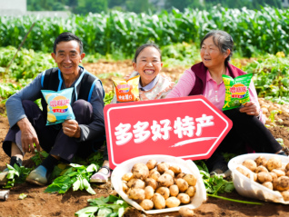 拼多多的下一个十年：“Costco+Disney”照进现实