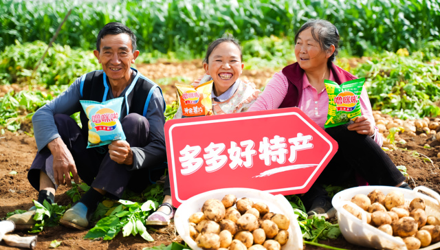 拼多多的下一个十年：“Costco+Disney”照进现实