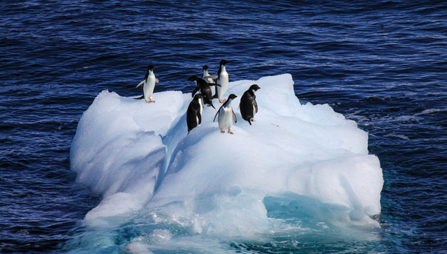观察｜气候峰会首次在美国缺席下落幕，暴露转型中的现实博弈