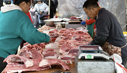 猪价持续下行，腌腊开启能否支撑价格上涨？