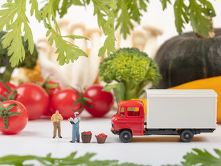 生鲜电商竞争从规模转向供应链