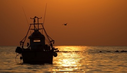 辽宁严查渔船倾覆背后腐败立案162人，营口一渔业局长见死不救被查