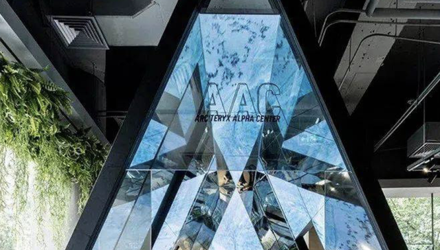 谁在替代始祖鸟？