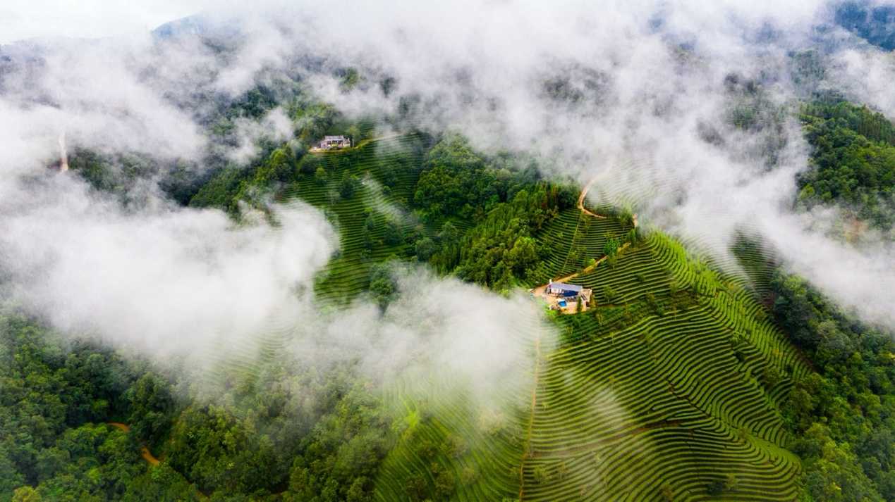 云南品斛堂酒业有限公司荣获CIC灼识多项市场地位确认证书