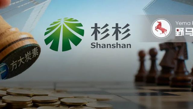 “方大系”杀入杉杉重整，辽宁首富方威的“现金墙”备好了吗？