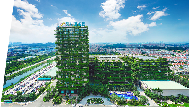 碧桂园补发两份财报：利润亏损收窄，净资产仍保持为正