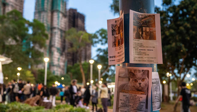 香港火灾成立独立委员会，李家超：必须作系统性改革