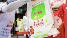 金龍魚被絆了個大跟頭