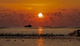 地方新闻精选 | 鄱阳湖流域三人毒杀候鸟被抓 江苏溧阳通报演员名单照搬百度文库