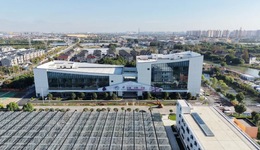 鮮花交易的“上海價格”來了