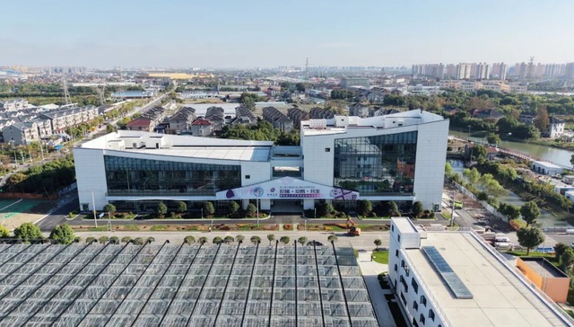 上海,青浦,鲜花