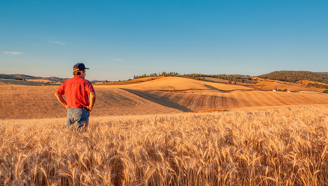 资金来自关税收入，美国政府将为农民提供120亿美元救助
