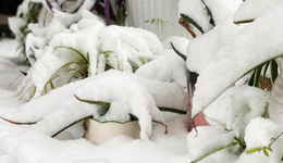 直通部委｜气象局启动重大气象灾害四级应急响应 11月份CPI同比上涨0.7%