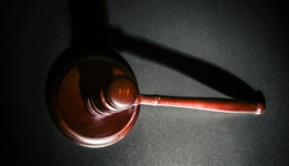 北京首例宠物中毒刑事公诉案被告人获刑4年，曾致小区9只宠物狗死亡