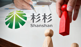 辽宁首富对手来了，马应龙母公司入局杉杉重整