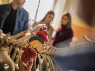 【深度】国产人工心的商业暗战