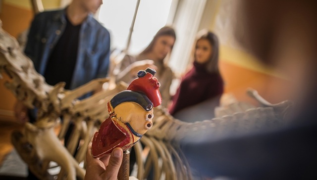 【深度】国产人工心的商业暗战