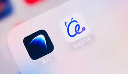 AI会是蚂蚁的“福气”吗？