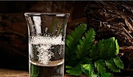 茅台出手控量稳价，华致酒行第三季度因茅台、五粮液酒价大跌亏损超2.7亿元